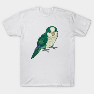 Bluegreen quaker T-Shirt